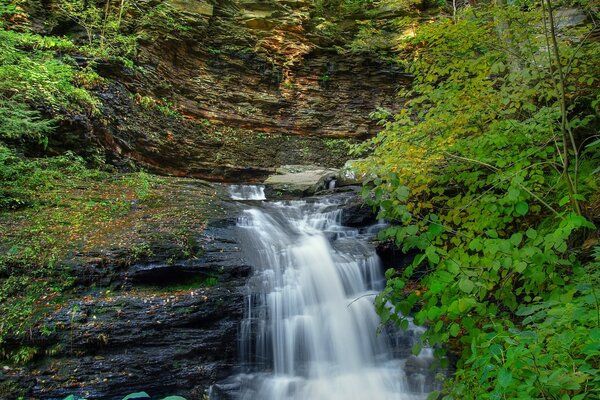 Waterfall among rocks with trees