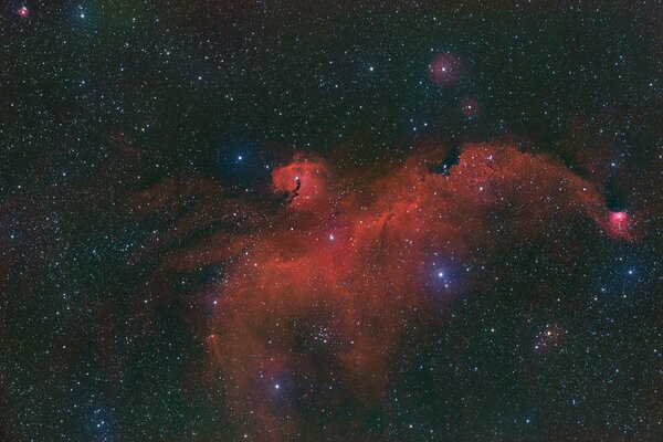 Mouette nébuleuse rouge dans l espace