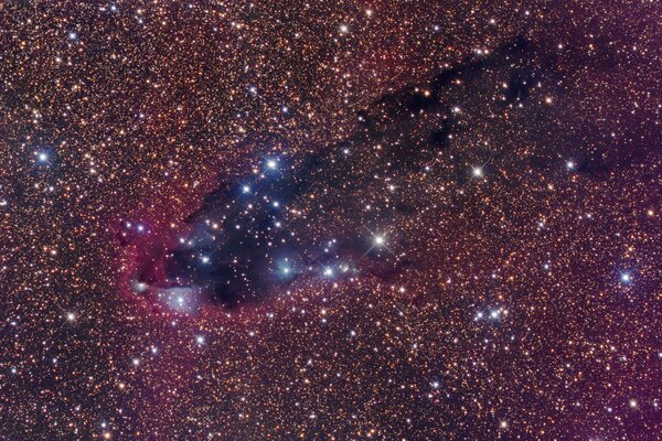 Nebulosa oscura en formación de estrellas