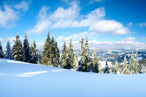 Paysage d hiver sur fond de ciel bleu