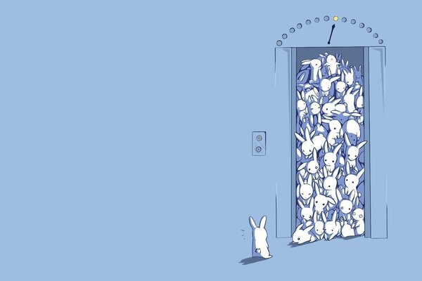 A lot of rabbits did not let the hare into the elevator