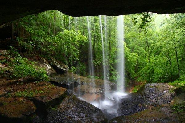 Grotta con cascata, natura