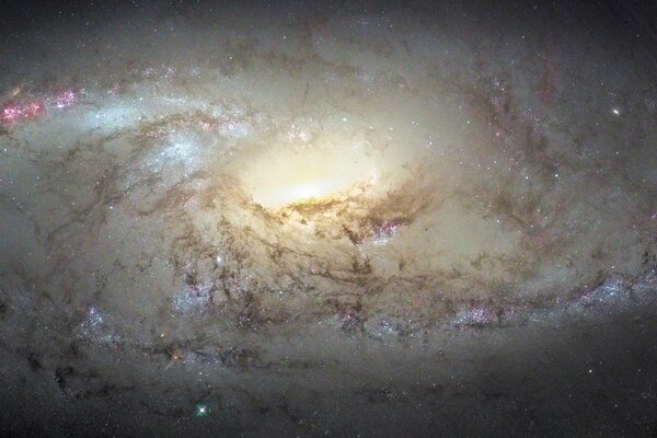 Constellation de la grande Ourse dans la galaxie