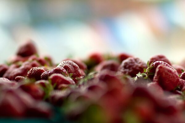 Gros plan de baies de fraises