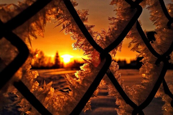 Winter Sonnenuntergang. Raureifgitter