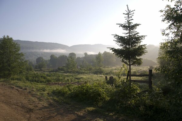 Der Weg ins Nirgendwo durch Wald und Feld
