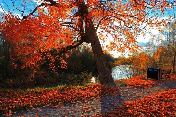 Shop on the background of the autumn landscape