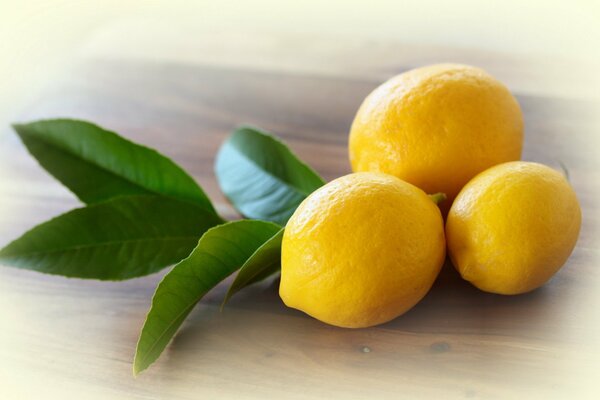 Tre limoni e un rametto verde sul tavolo
