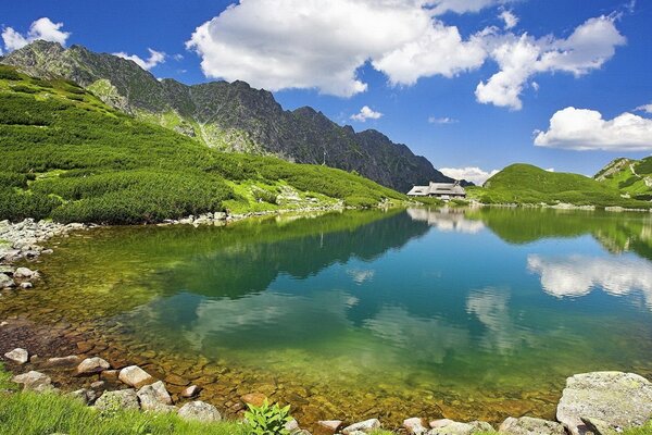 Bellissimo lago ghiacciato trasparente