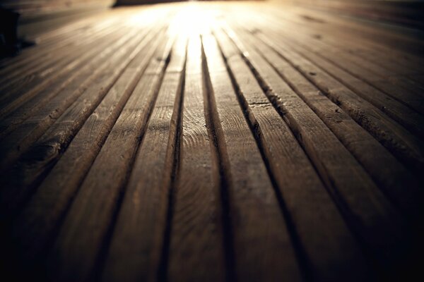 Wood is needed to produce boards, doors