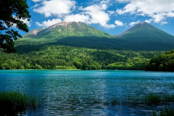 Montagne verdi in riva al lago