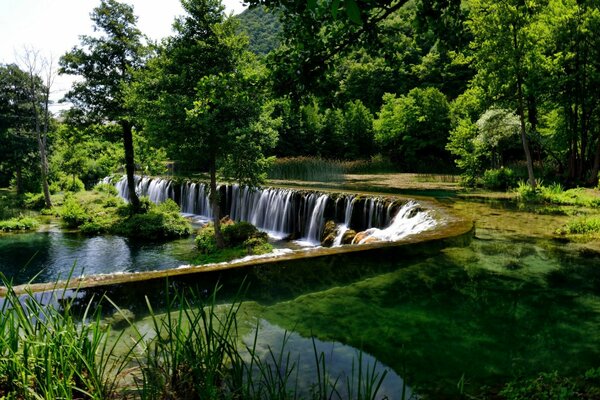 Cascade. belle nature. barrage dans la forêt. rivière forestière avec cascade