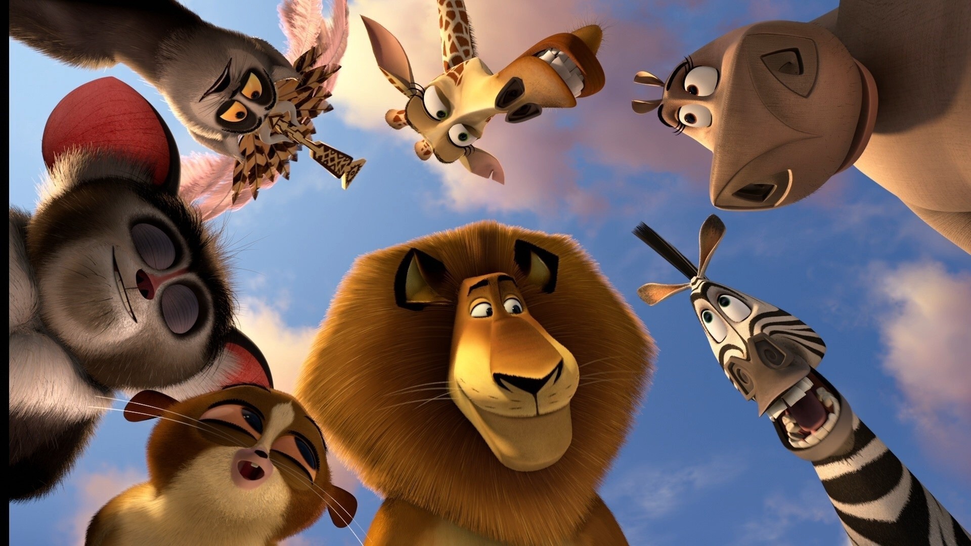 madagascar 3 cartone animato animali leone alex