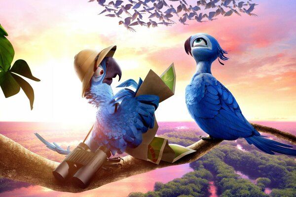 Der Film Rio und die blauen Vögel sind da