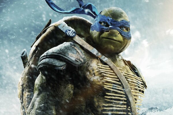 Teenage Mutant Ninja Turtles fantasy raphael with blue eyes