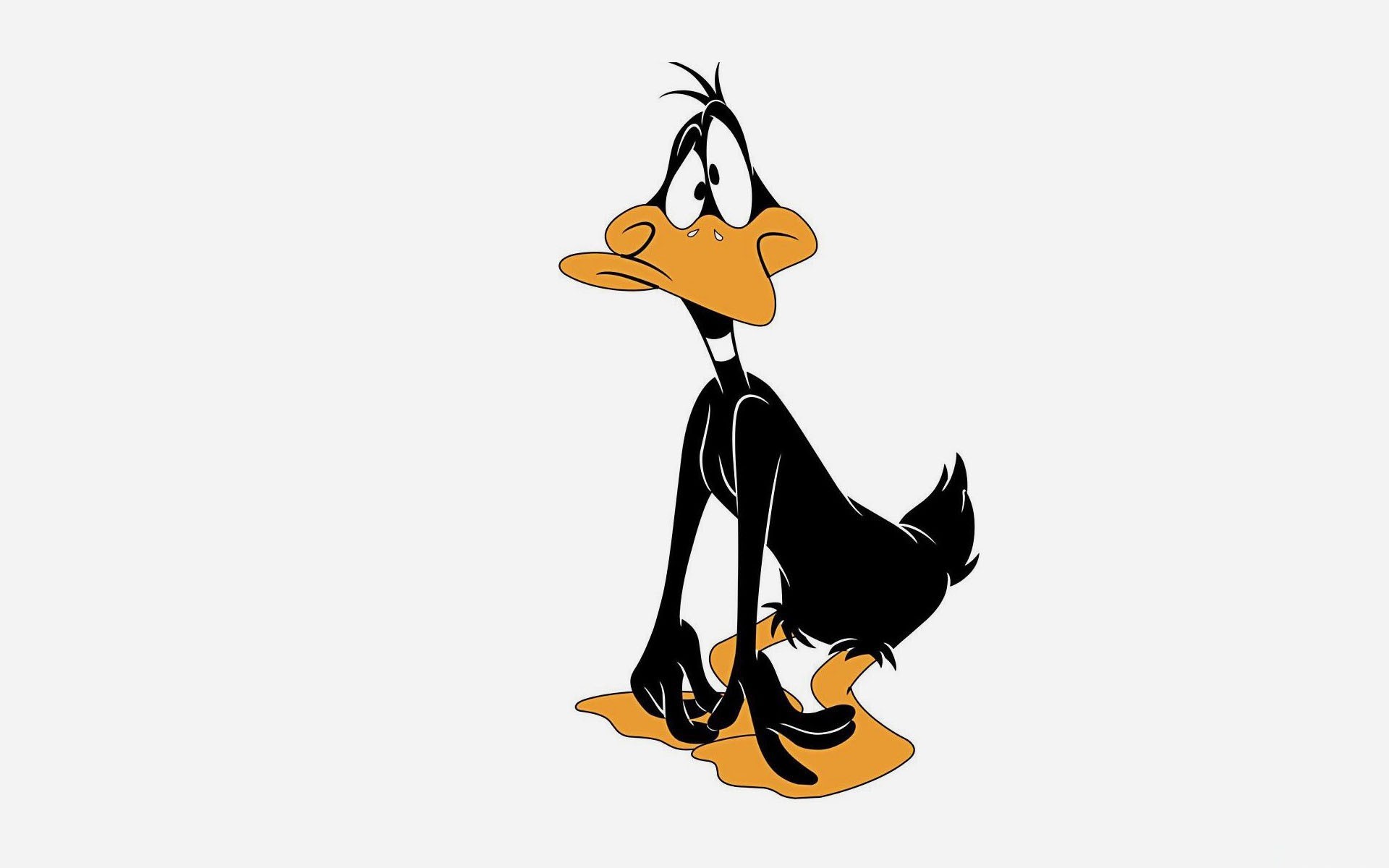 duck looney tunes cartoon