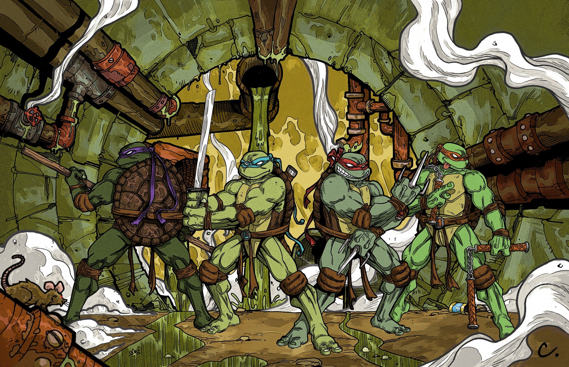 teenage mutant ninja turtles raphael michelangelo donatello leonardo