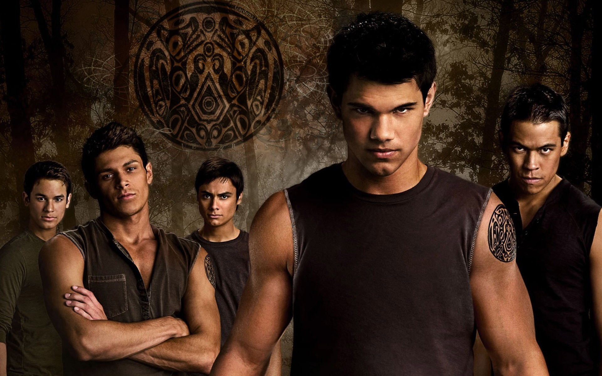 werewolves taylor lautner darkne