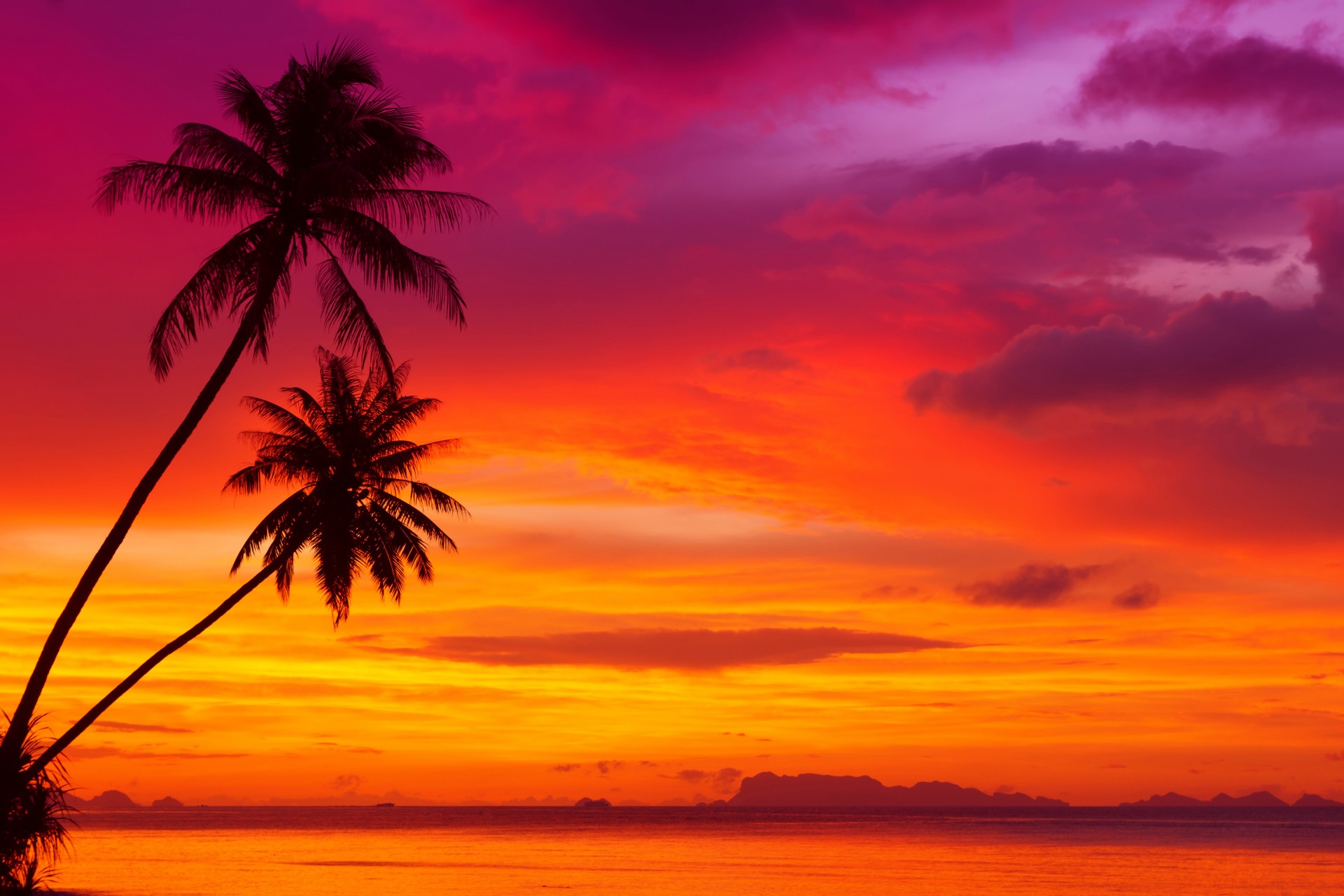 plage palmiers coucher de soleil nature tropiques côte ciel paysage plage tropicale beau ciel rouge océan