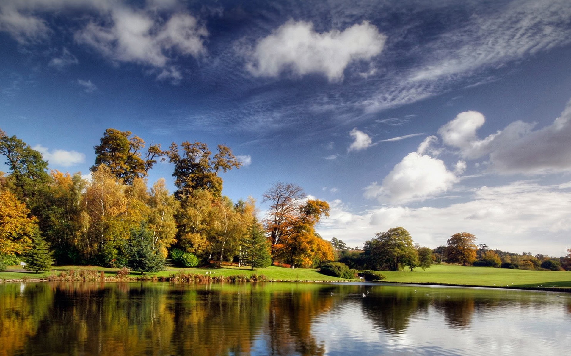 reflexión lago árboles bosque sol cielo paisaje otoño