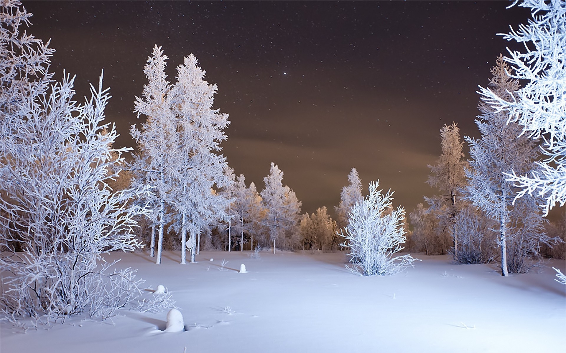 nieve noche