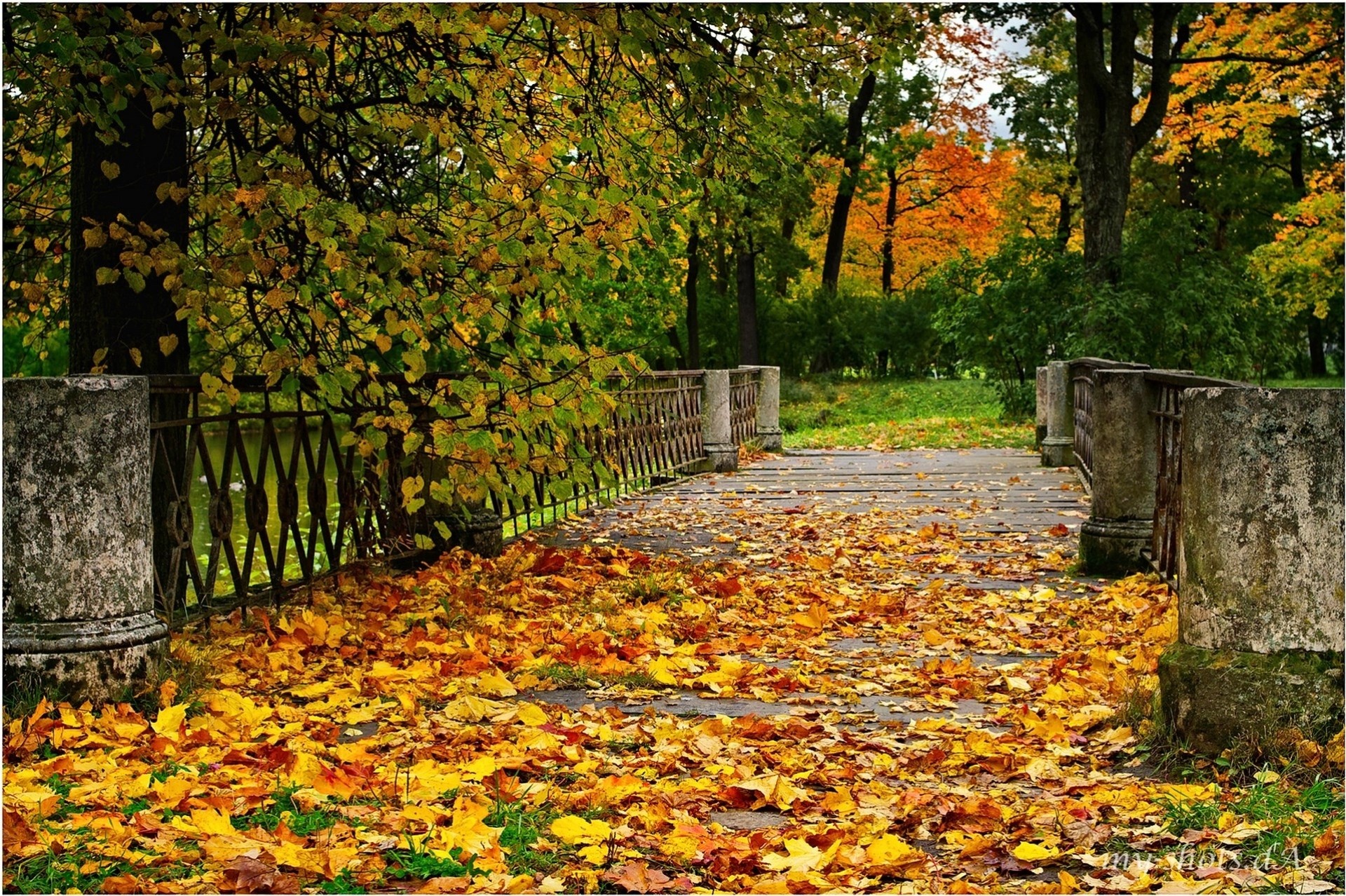 herbst brücke landschaft bäume