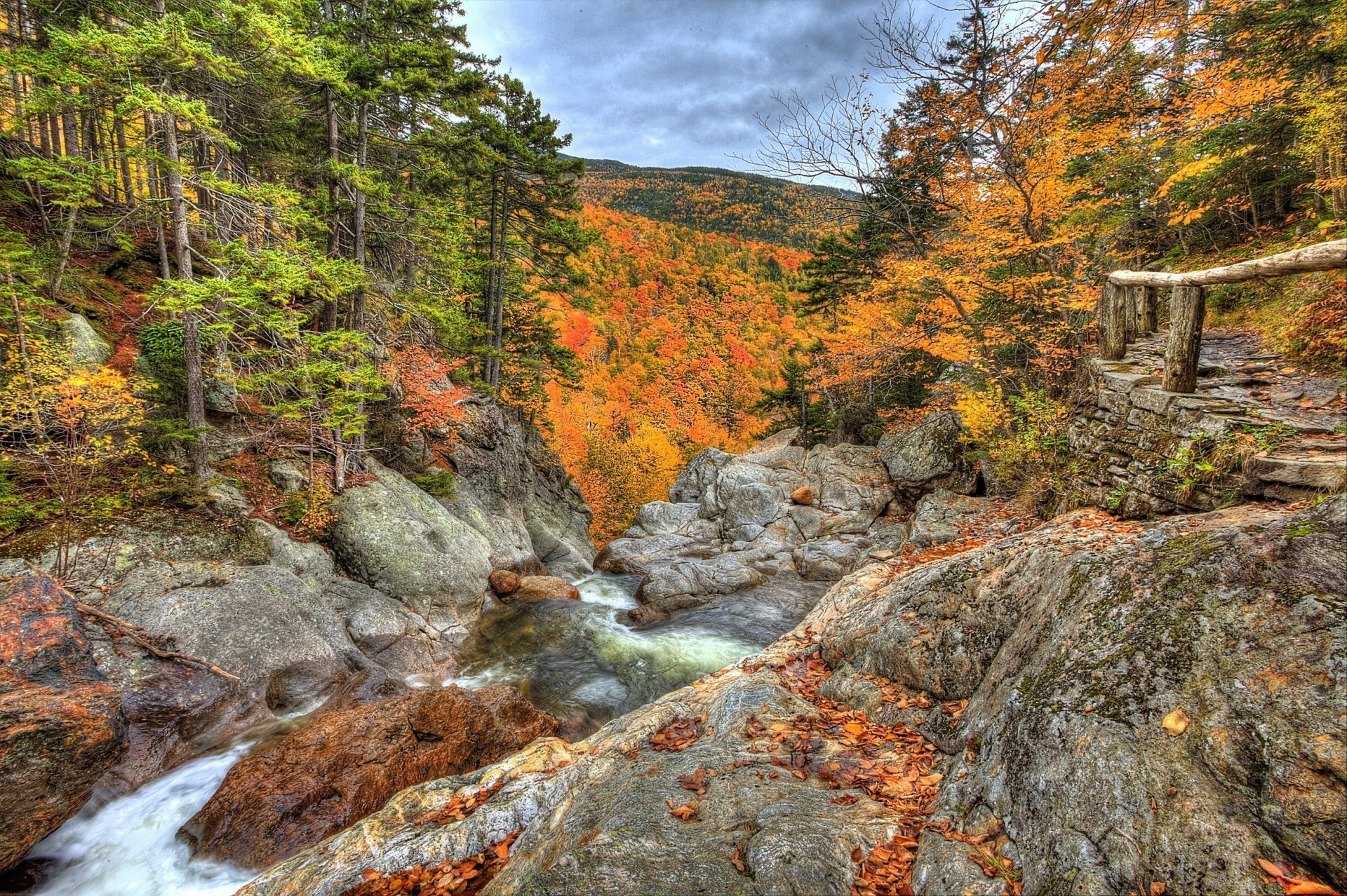 tones landscape nature forest autumn united state