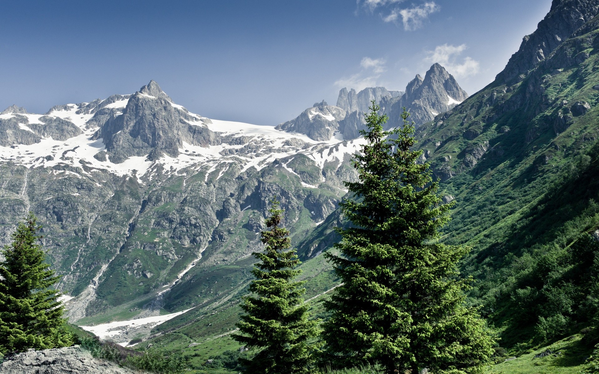 verano alpes bosque montañas naturaleza