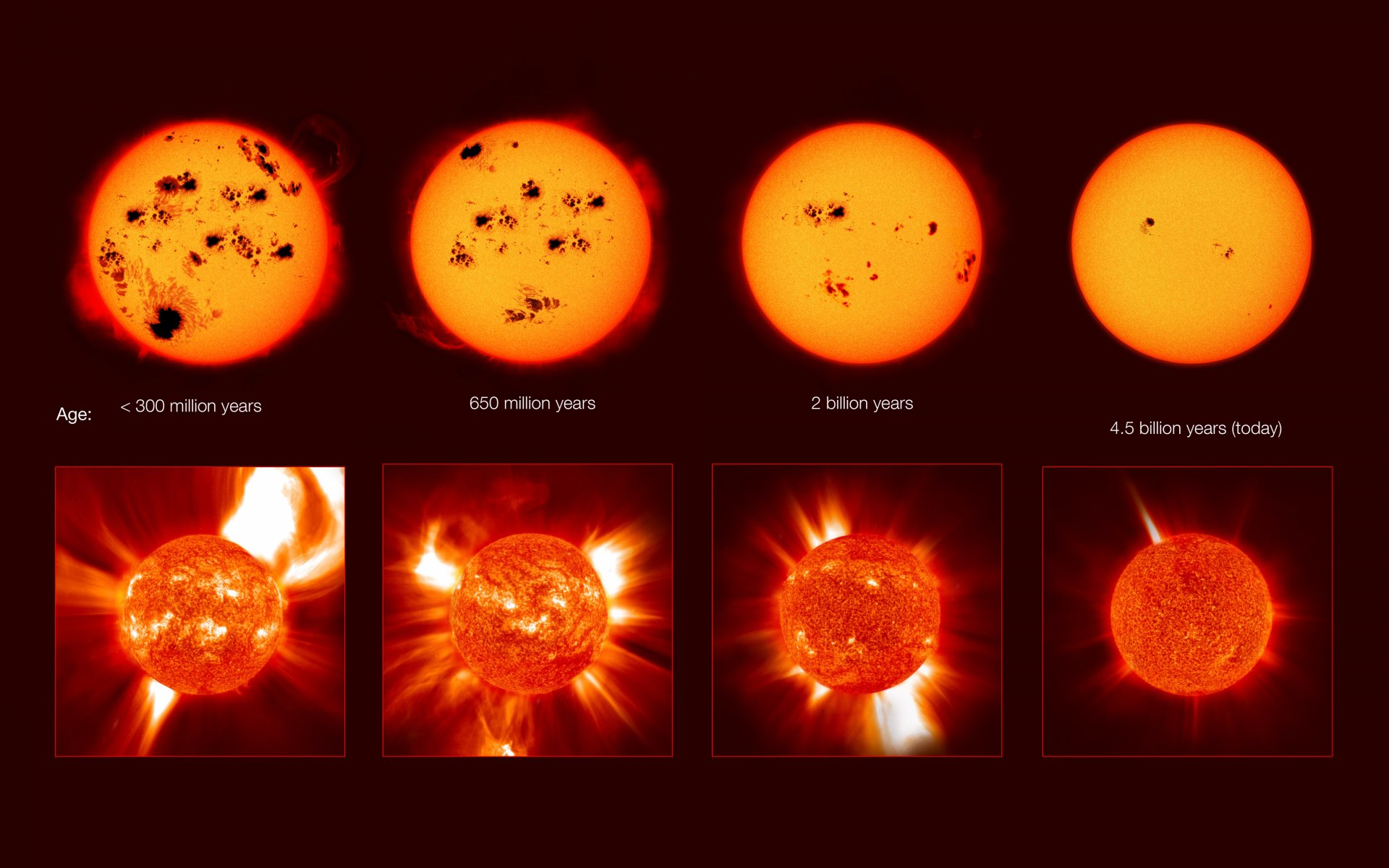 un beginning life end death activity protuberances spots crown