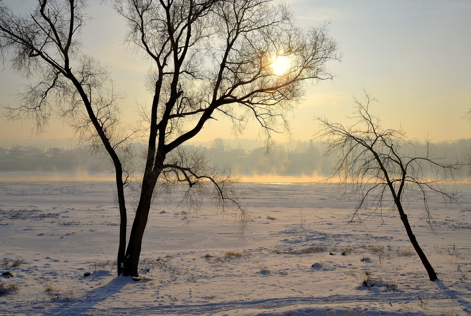 kaunas lituania gente árboles niebla nieve luz