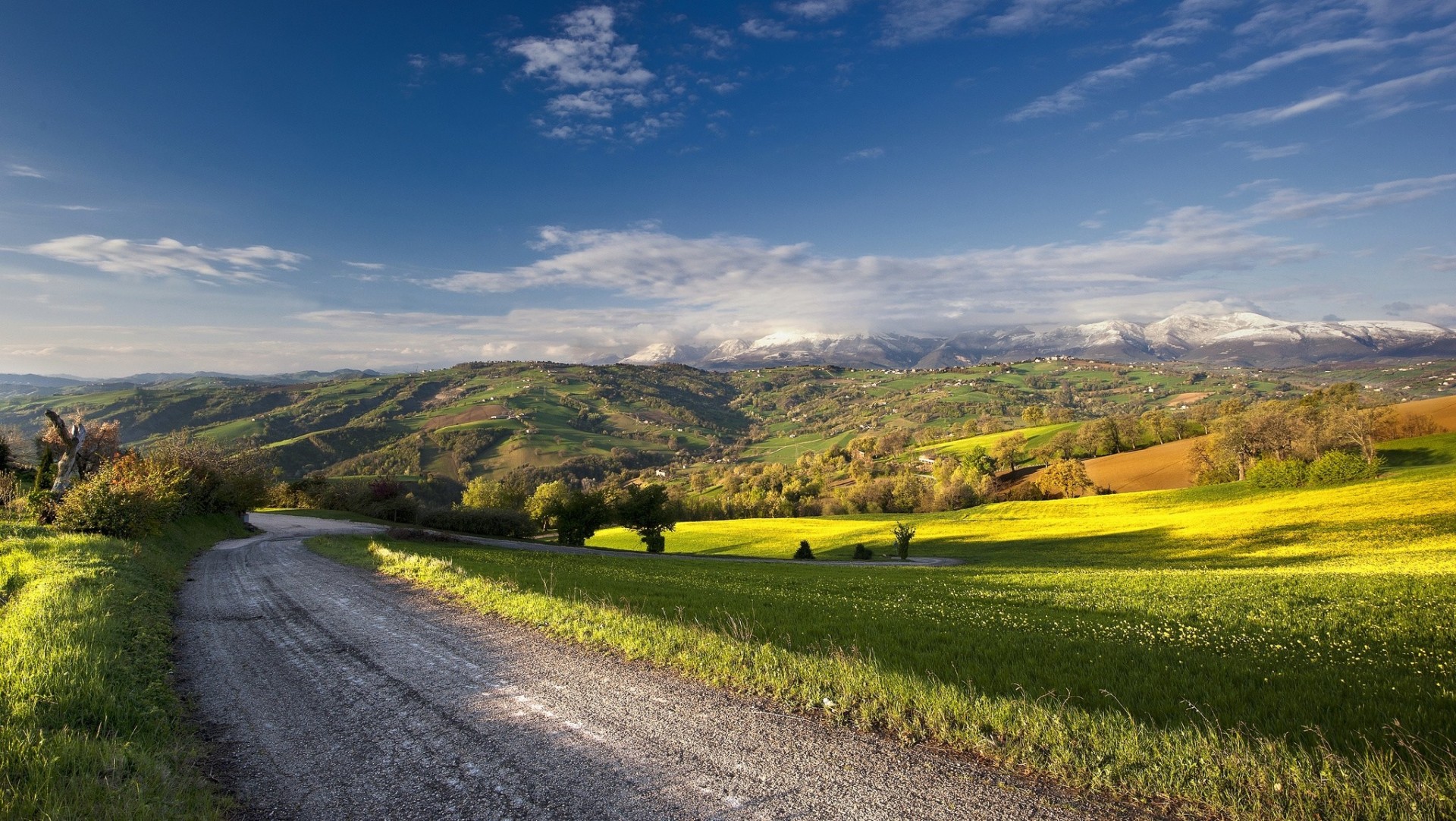 champ route paysage été