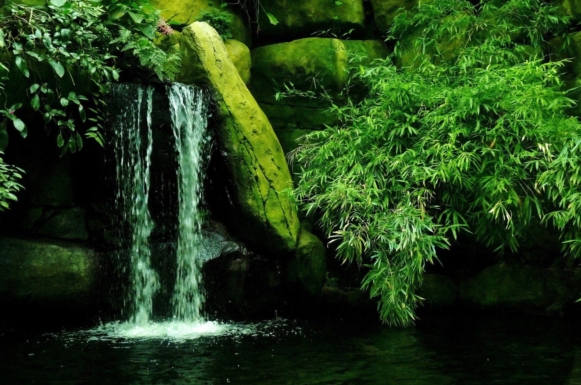 rocce cespugli cascata natura