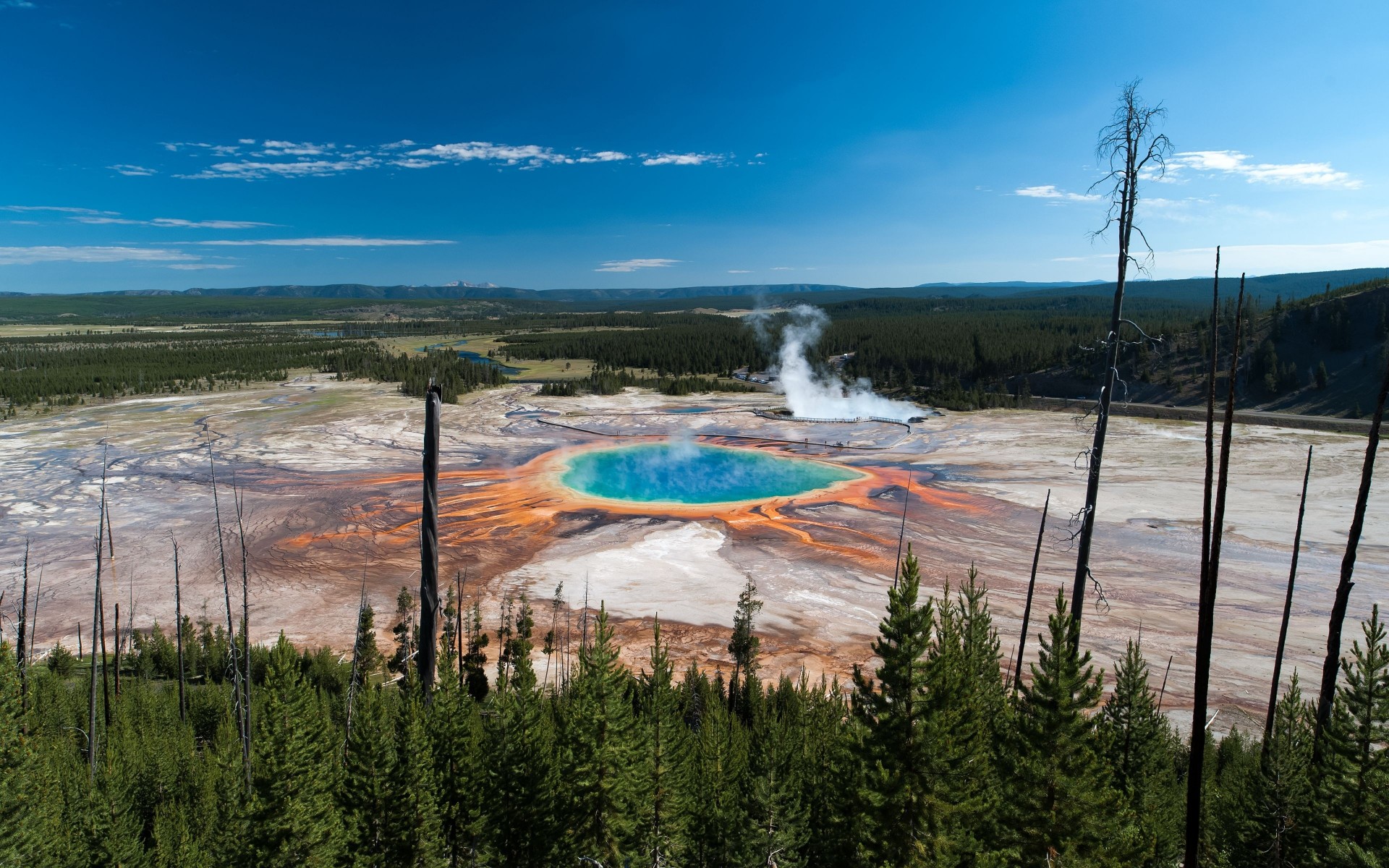 parque nacional de yellowstone yellowstone gran fuente prismática árboles panorama