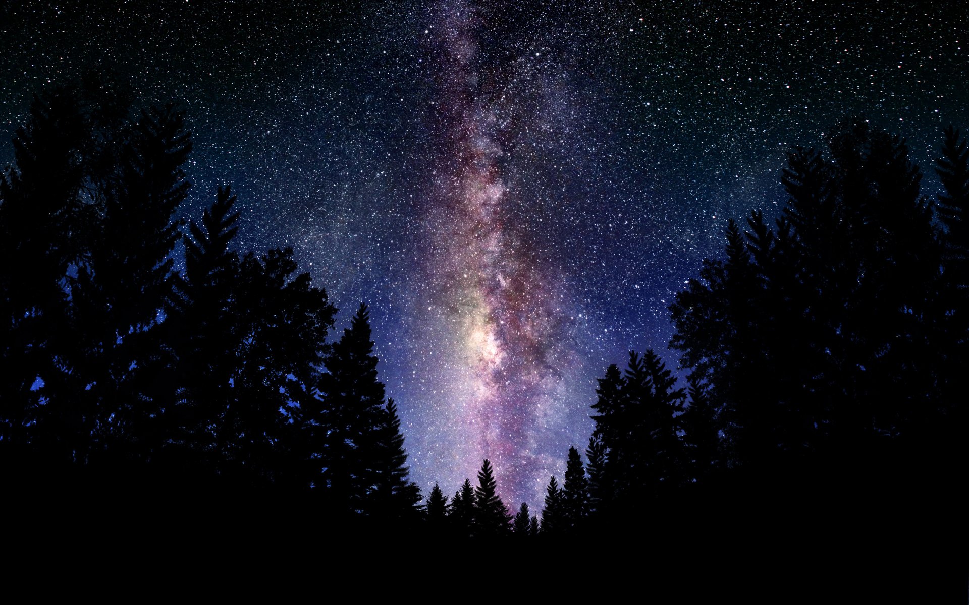 landscape forest night milky way space sky