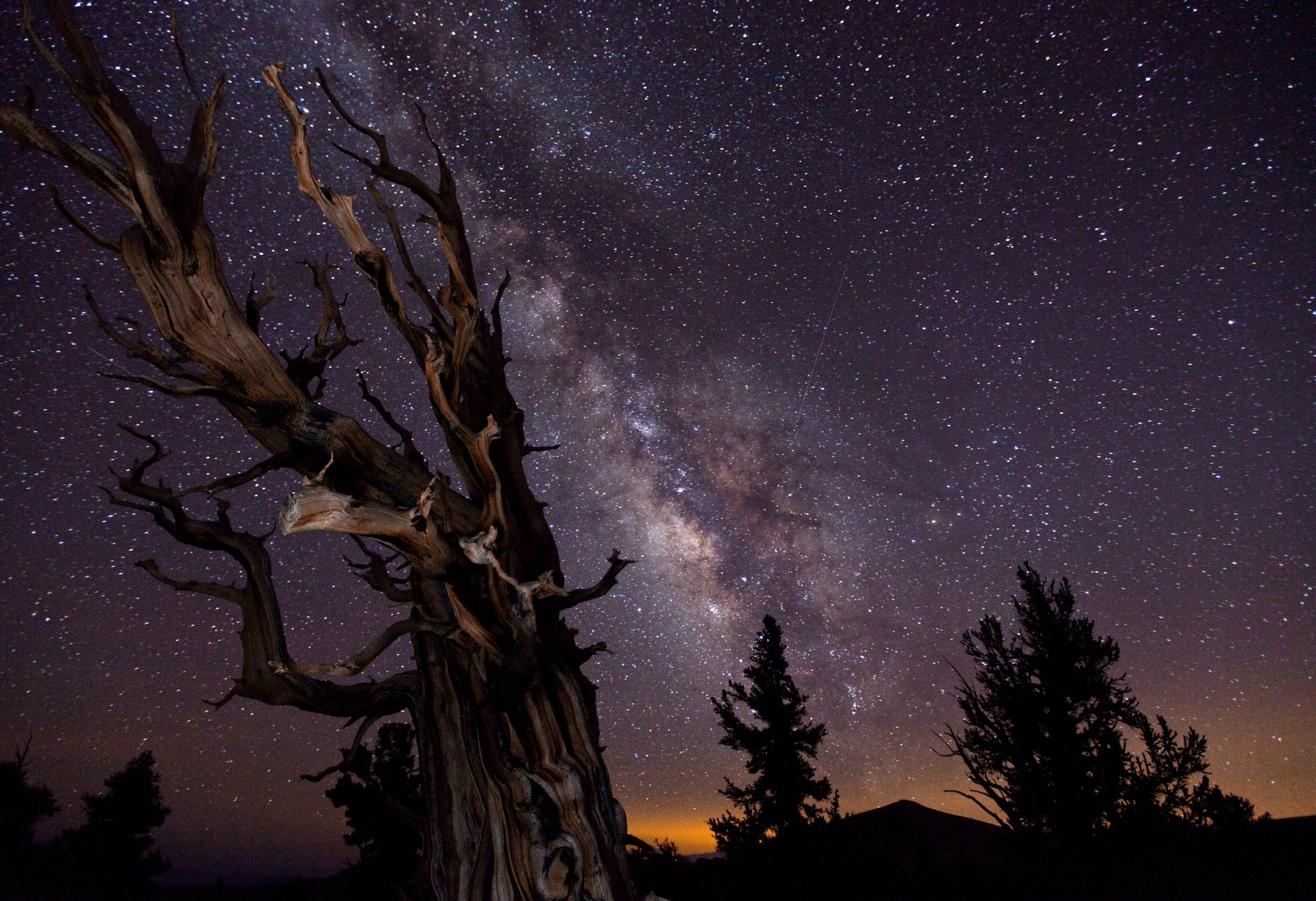 droga mleczna niebo noc drzewa ekspozycja zwycięzca konkursu fotografii astronomicznej :-