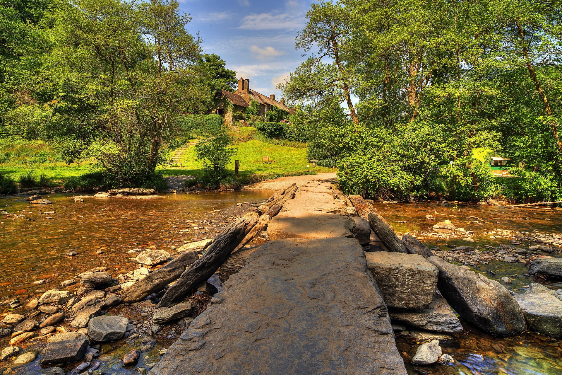 árboles paisaje río