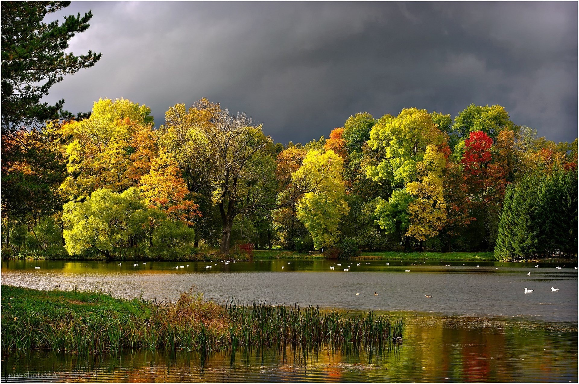 autunno paesaggio nuvole gabbiani stagno