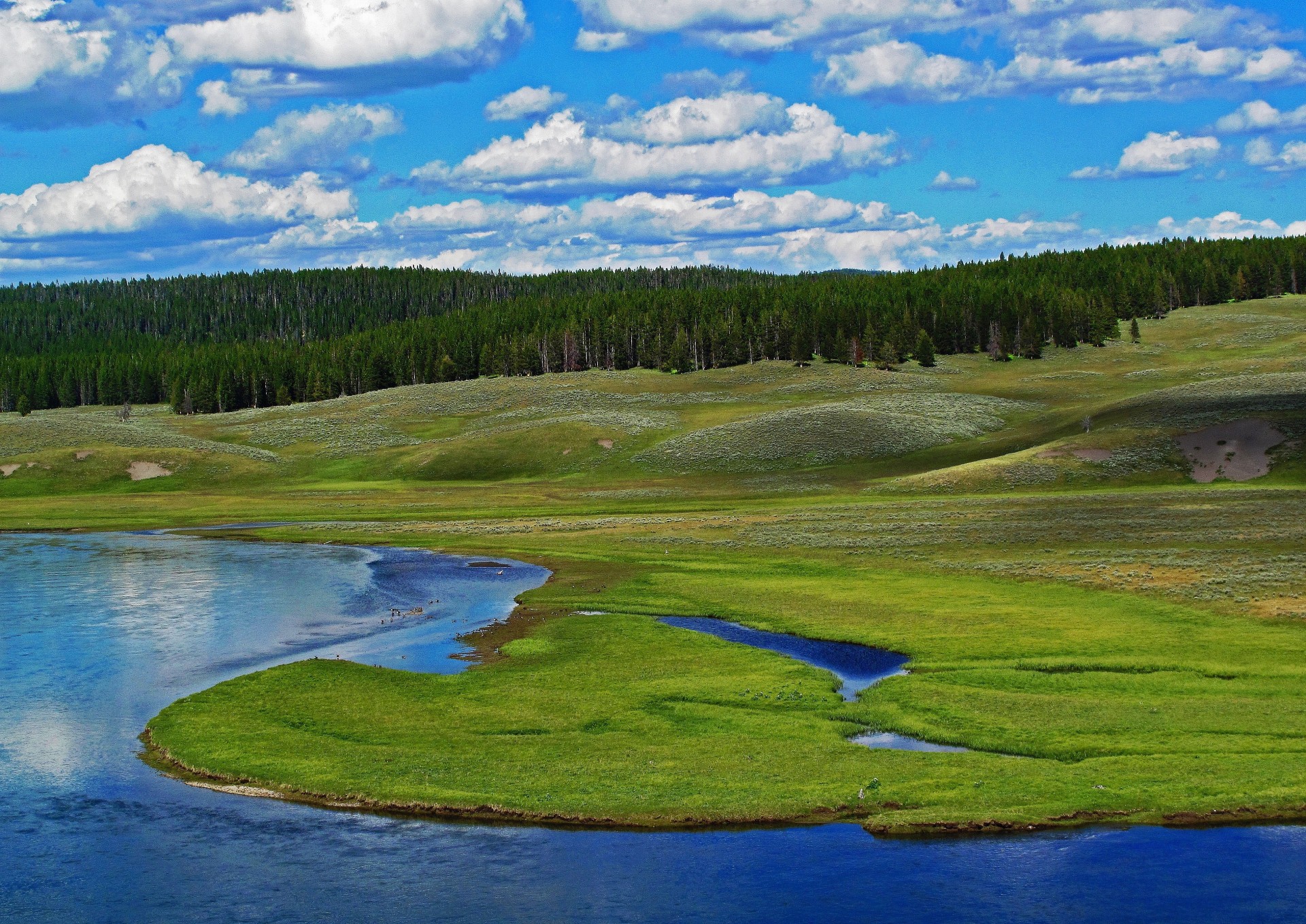 río parque nacional de yellowstone colinas naturaleza bosque estados unidos