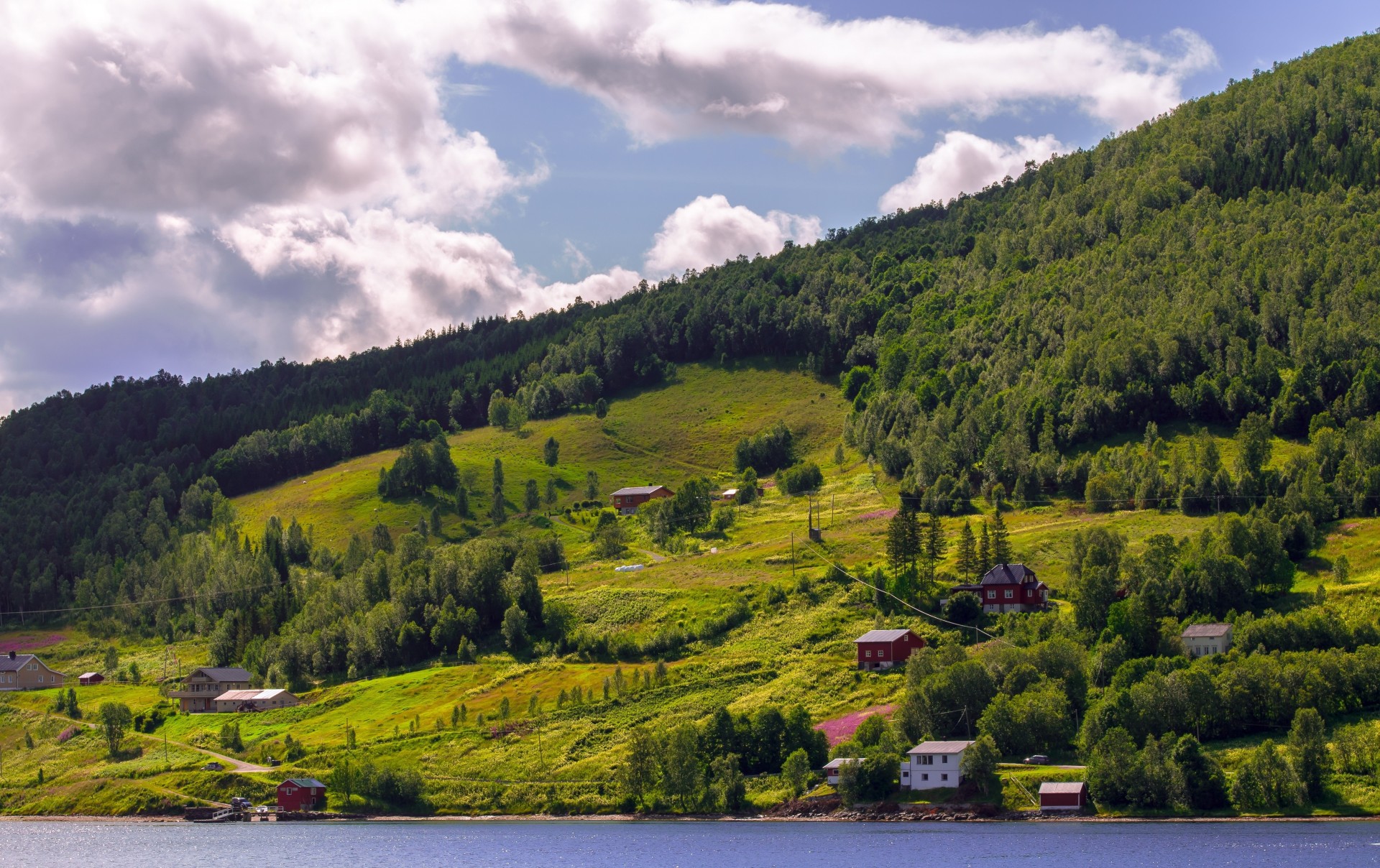 norwegia domy natura rzeka wzgórza