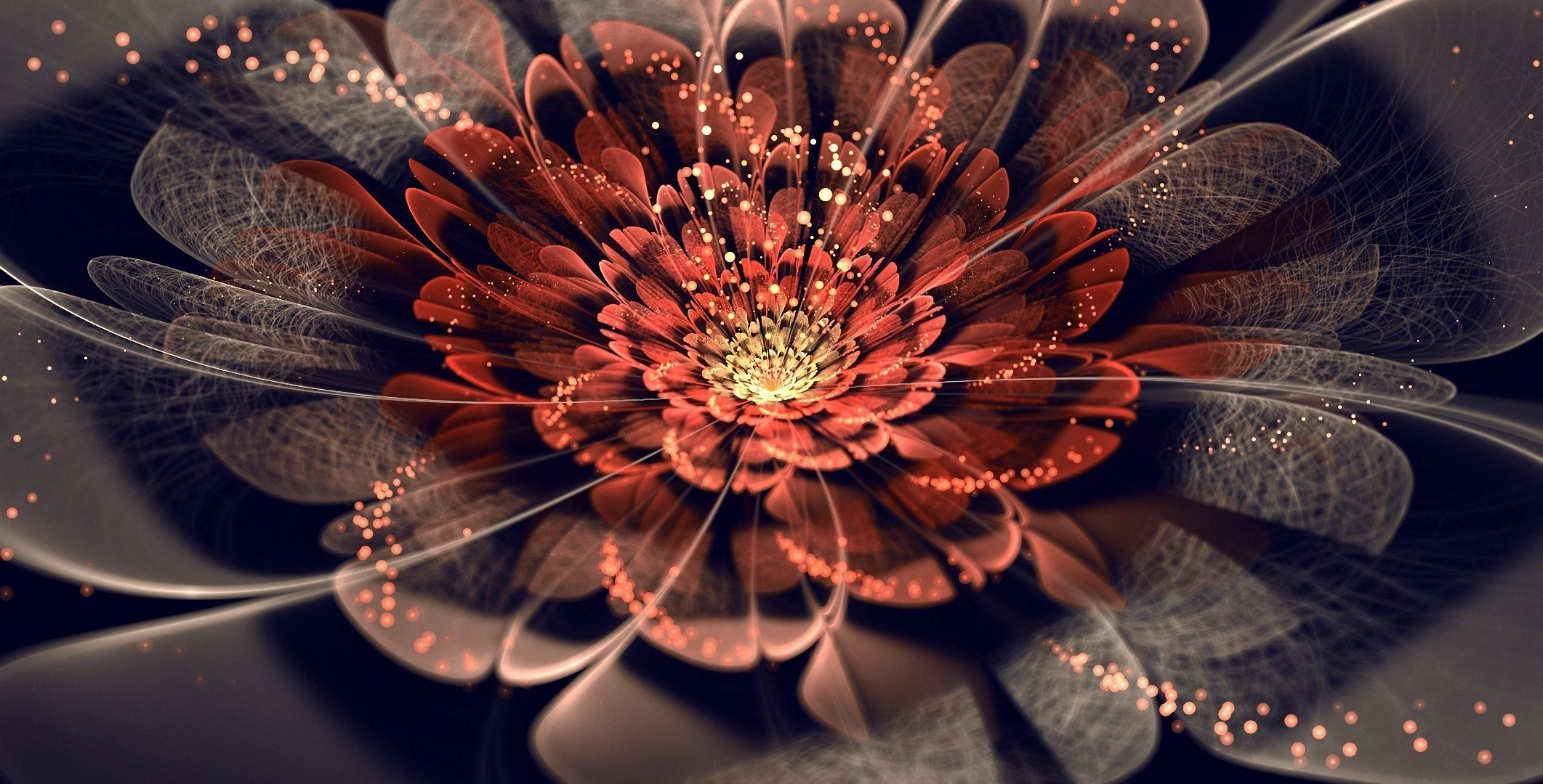 abstraction lights petals sparks flower art