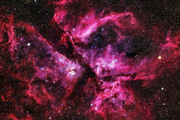 Pink nebula in space with stars