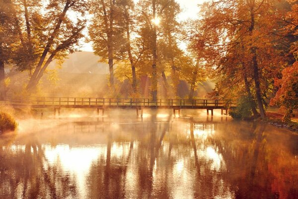 Herbstlandschaft Teich, Bäume, Dämmerung