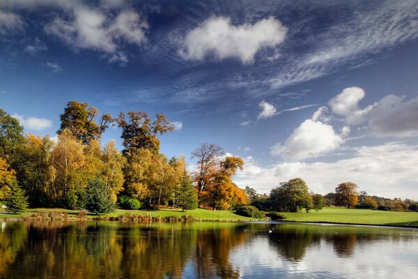 Herbstwald am See