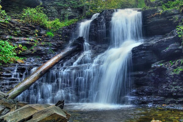 Hermosa cascada y alrededor de los árboles