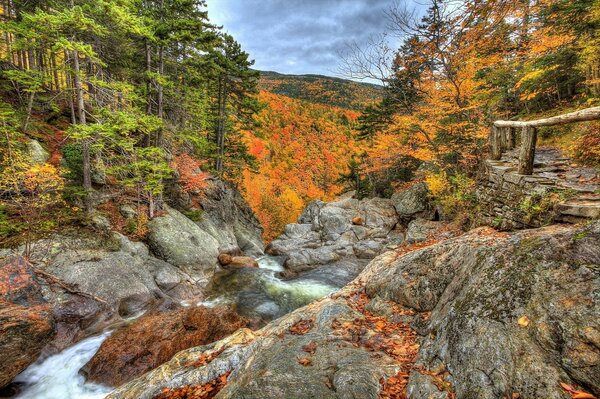 Paisaje de otoño. Bosque, montañas y río