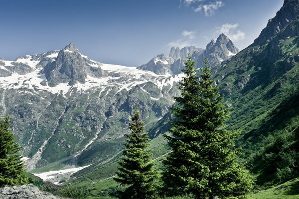 Beautiful nature in the Alpine mountains