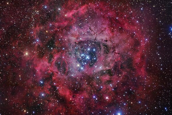 Nebulosa di colore rosa intervallata da stelle luminose