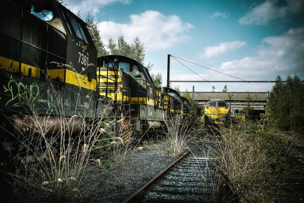 El tren viaja por ferrocarril