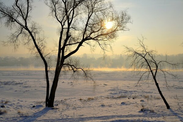 Зимний пейзаж с солнцем и деревом