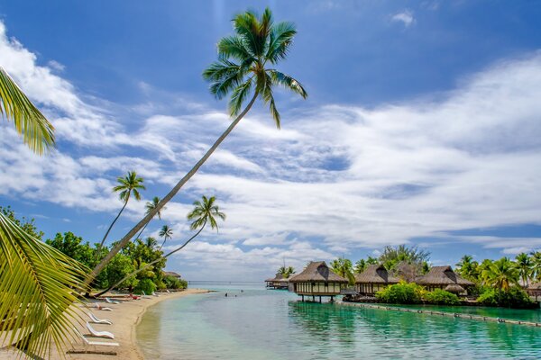 Spiaggia tropicale in Australia in estate